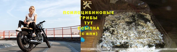 молекула духа Касимов