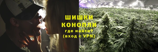молекула духа Касимов