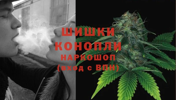 молекула духа Касимов