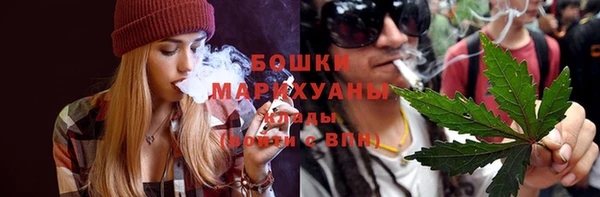молекула духа Касимов